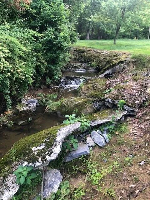 Peaceful, secluded RV spot with a bubbling stream — photo 1 of 4