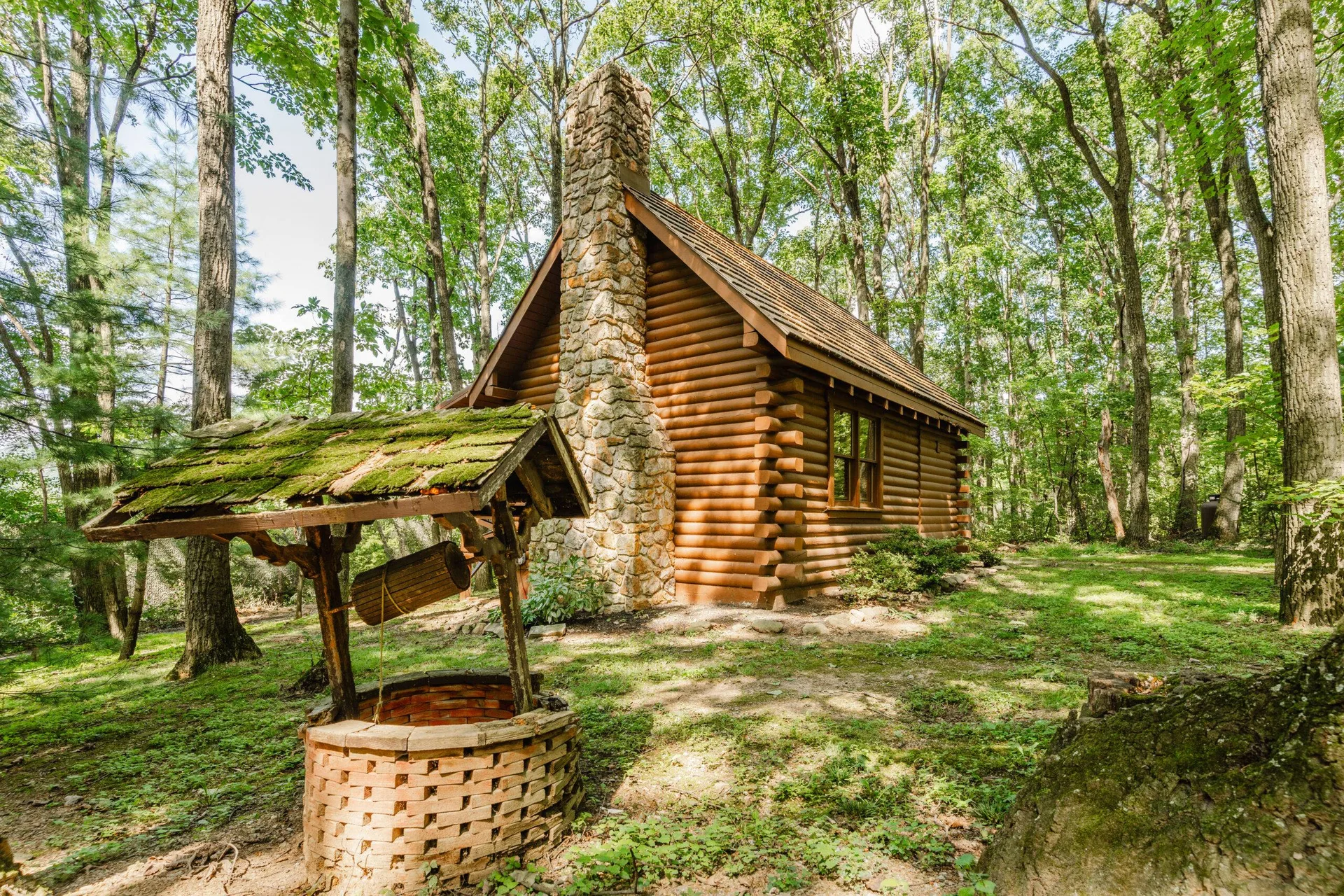 Cabin in the woods — photo 1 of 27