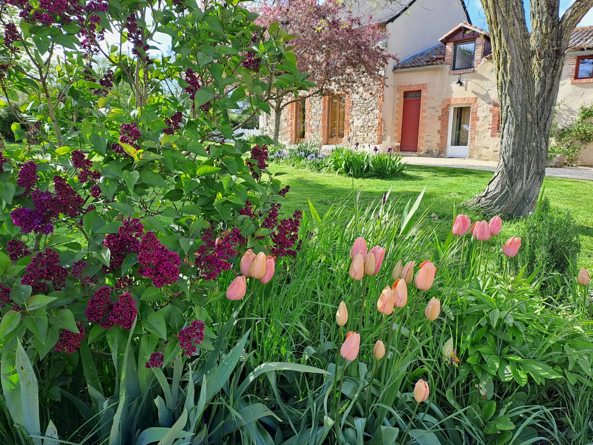 La Gaucherie aux Dames — photo 1 of 13